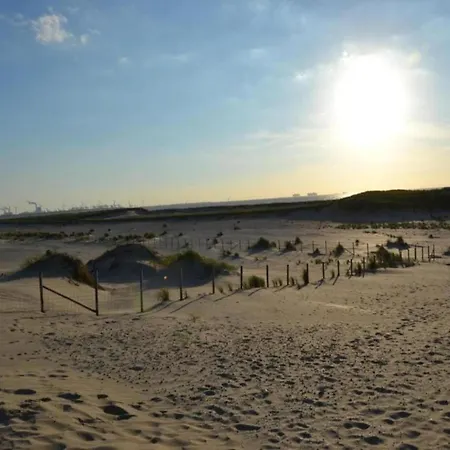 Unique On The Dunes At Only 700 M From The Hébergement de vacances s-Gravenzande