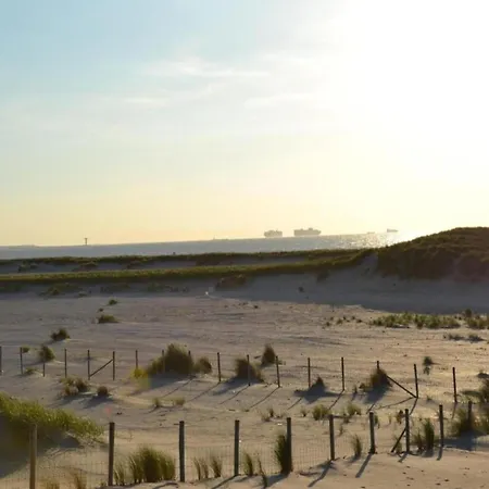 Hébergement de vacances Unique On The Dunes At Only 700 M From The