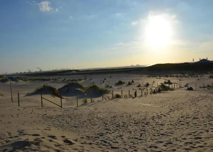 In With Nautical Charm Dom wakacyjny s-Gravenzande